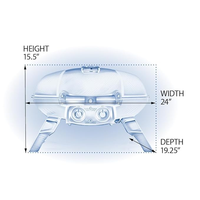 Napoleon Travel Q 285 Portable Gas Grill
