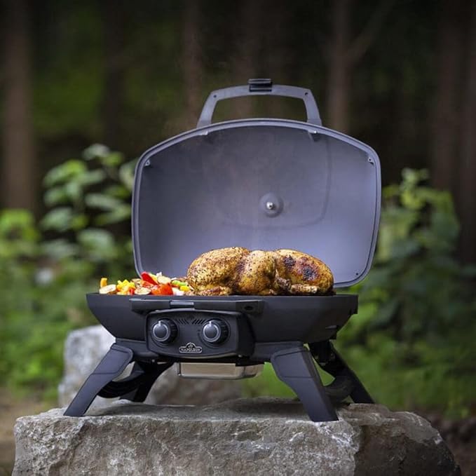 Napoleon Travel Q 285 Portable Gas Grill