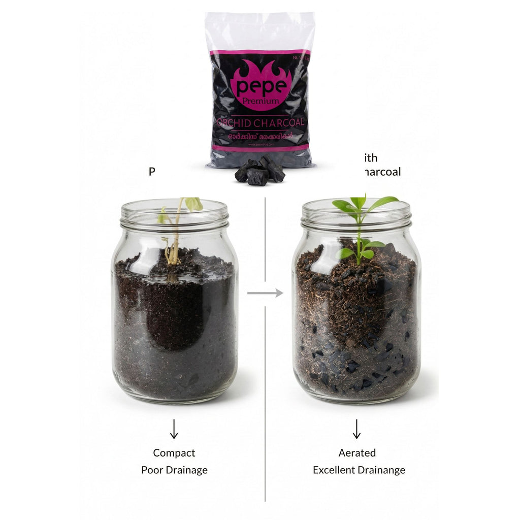 Horticultural Charcoal 2kg for Orchid, Succulent, Adenium, Terrarium & Gardening